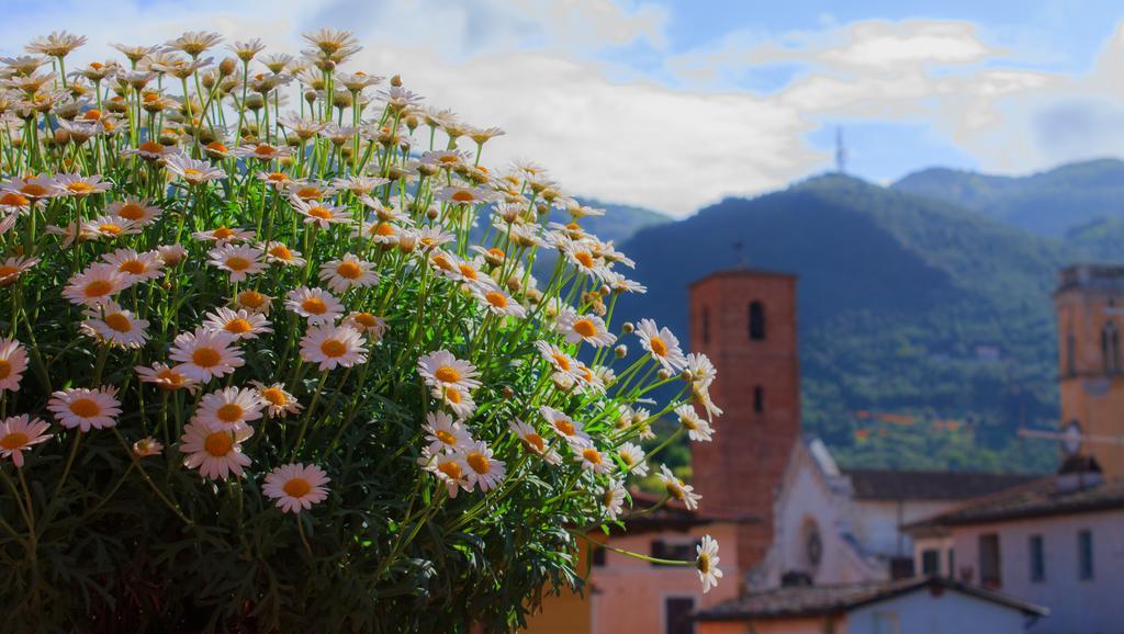 Hotel Palagi Pietrasanta Bilik gambar