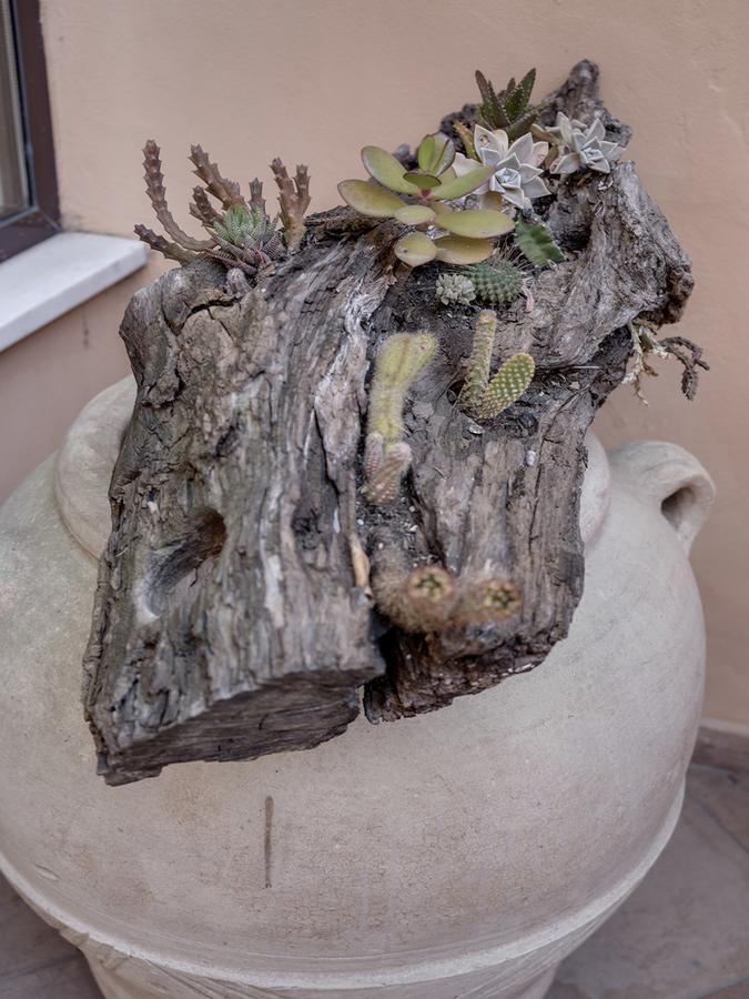 Hotel Palagi Pietrasanta Luaran gambar